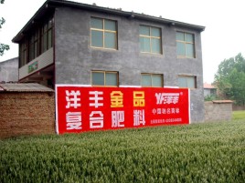 通海如何让墙体广告展现最大化效果