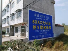 通海墙体广告质量分析
