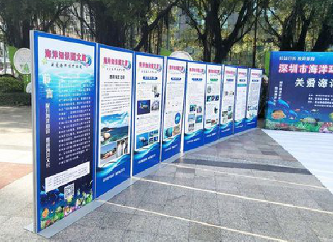 通海KT板的种类和知识。